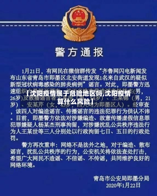 【沈阳疫情属于危险地区吗,沈阳疫情算什么风险】-第2张图片