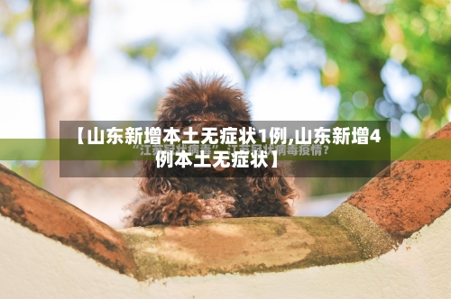 【山东新增本土无症状1例,山东新增4例本土无症状】