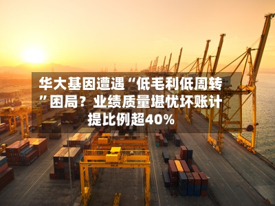 华大基因遭遇“低毛利低周转”困局？业绩质量堪忧坏账计提比例超40%-第3张图片