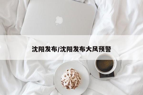 沈阳发布/沈阳发布大风预警