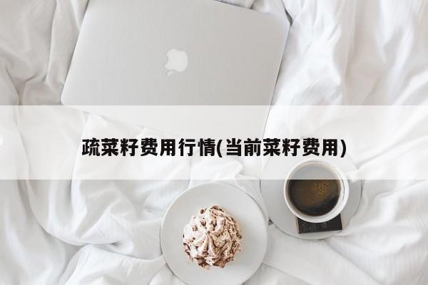 疏菜籽费用行情(当前菜籽费用)